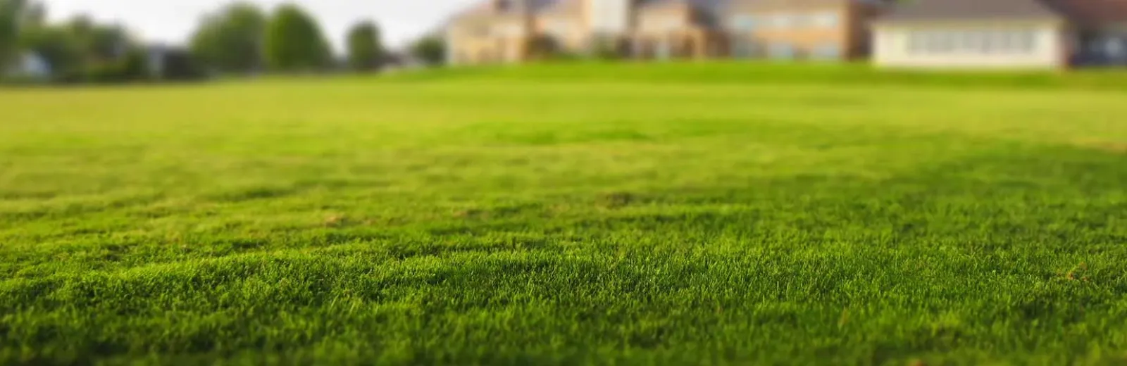 Professional Lawn Care in Donahue, IA Scott County Lawns